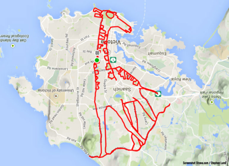 Strava Giraffe Stephen Lund
