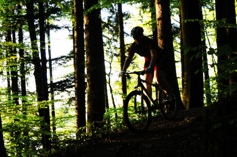 Mountainbike-Fallen: Symptom eines Gesellschaftsproblems?